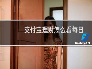 支付宝理财怎么看每日收益明细（支付宝的理财在哪里）