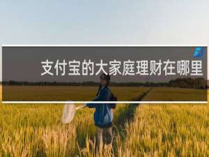 支付宝的大家庭理财在哪里