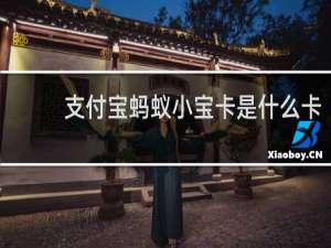 支付宝蚂蚁小宝卡是什么卡