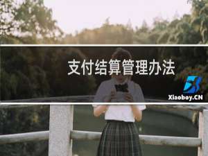 支付结算管理办法