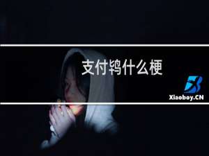 支付鸨什么梗