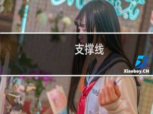 支撑线