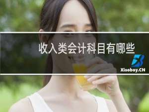 收入类会计科目有哪些