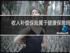 收入补偿保险属于健康保险吗