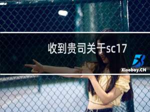 收到贵司关于sc17.cn的实名提示