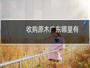 收购原木广东哪里有