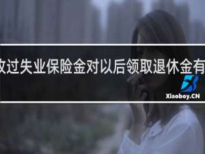 收过失业保险金对以后领取退休金有影响吗