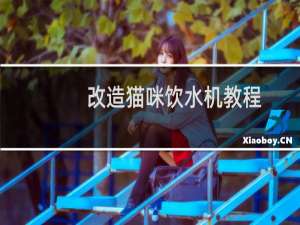 改造猫咪饮水机教程