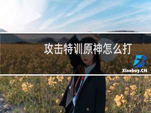 攻击特训原神怎么打