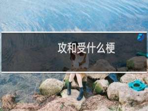 攻和受什么梗