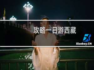 攻略一日游西藏