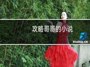 攻略哥哥的小说