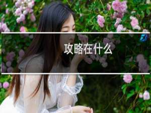 攻略在什么