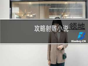 攻略射雕小说