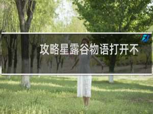 攻略星露谷物语打开不