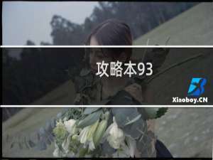 攻略本93