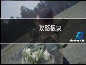 攻略板块