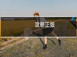 攻略正版