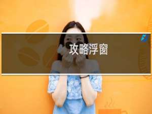 攻略浮窗