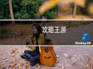 攻略王源