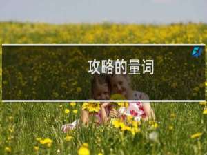攻略的量词