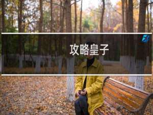 攻略皇子