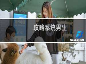 攻略系统男生