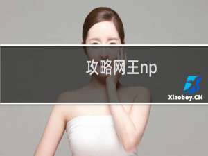 攻略网王np