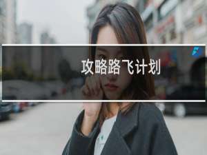 攻略路飞计划