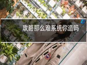 攻略那么难系统你造吗