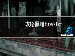 攻略黑暗bosstxt