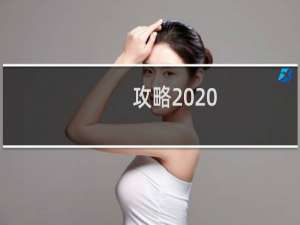 攻略2020