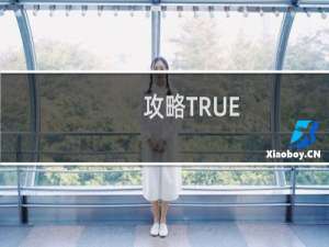 攻略TRUE