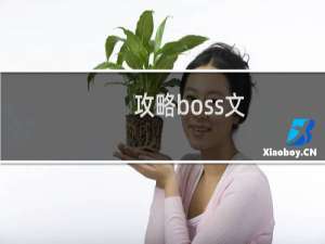 攻略boss文