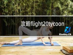 攻略flight tycoon