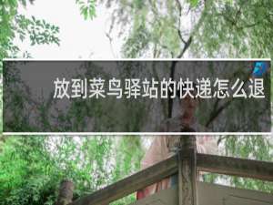 放到菜鸟驿站的快递怎么退