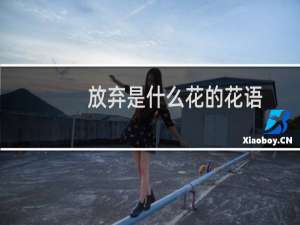 放弃是什么花的花语