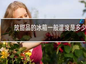 放甜品的冰箱一般温度是多少