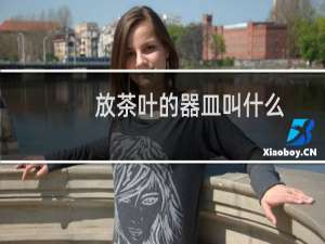放茶叶的器皿叫什么