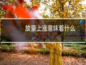 放量上涨意味着什么
