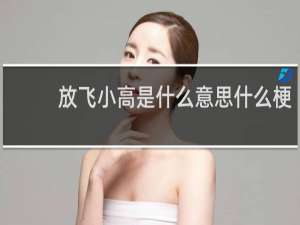 放飞小高是什么意思什么梗