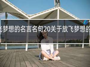 放飞梦想的名言名句 关于放飞梦想的名言名句