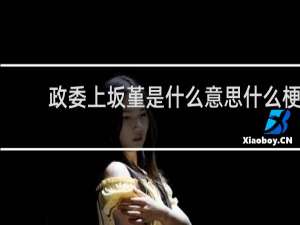 政委上坂堇是什么意思什么梗