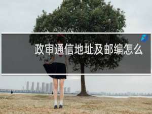 政审通信地址及邮编怎么填
