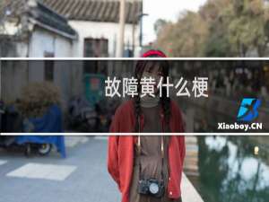 故障黄什么梗