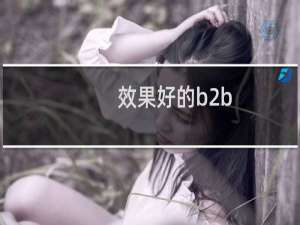 效果好的b2b