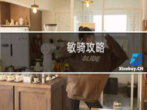 敏骑攻略