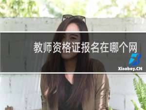 教师资格证报名在哪个网站上啊