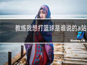 教练我想打篮球是谁说的a站