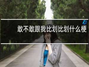 敢不敢跟我比划比划什么梗